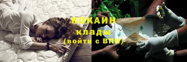 крисы Ленск