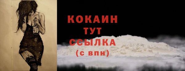 мдпв Тобольск
