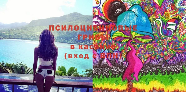 мдпв Тобольск