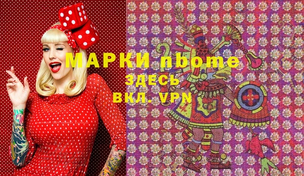 мдпв Тобольск