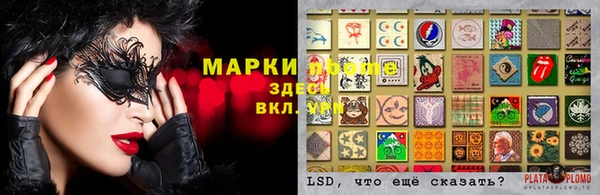 индика Тихорецк