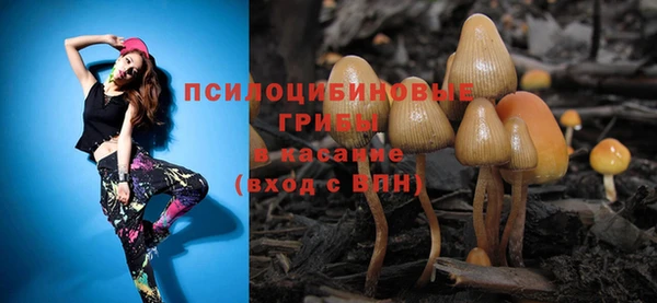 индика Тихорецк