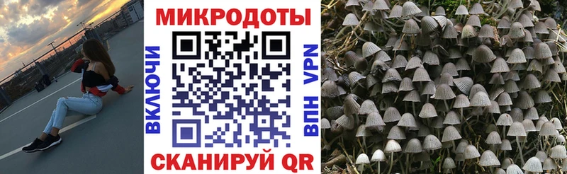 мега зеркало сколько стоит Шилка Псилоцибиновые грибы MAGIC MUSHROOMS