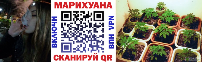 MEGA маркетплейс  Шилка  Бошки Шишки SATIVA & INDICA  купить наркотик 